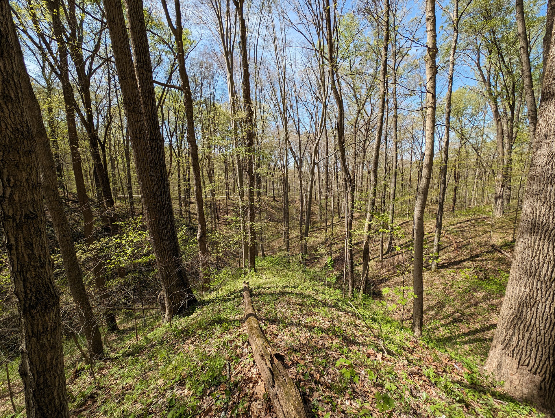 PXL 20240420 195601788