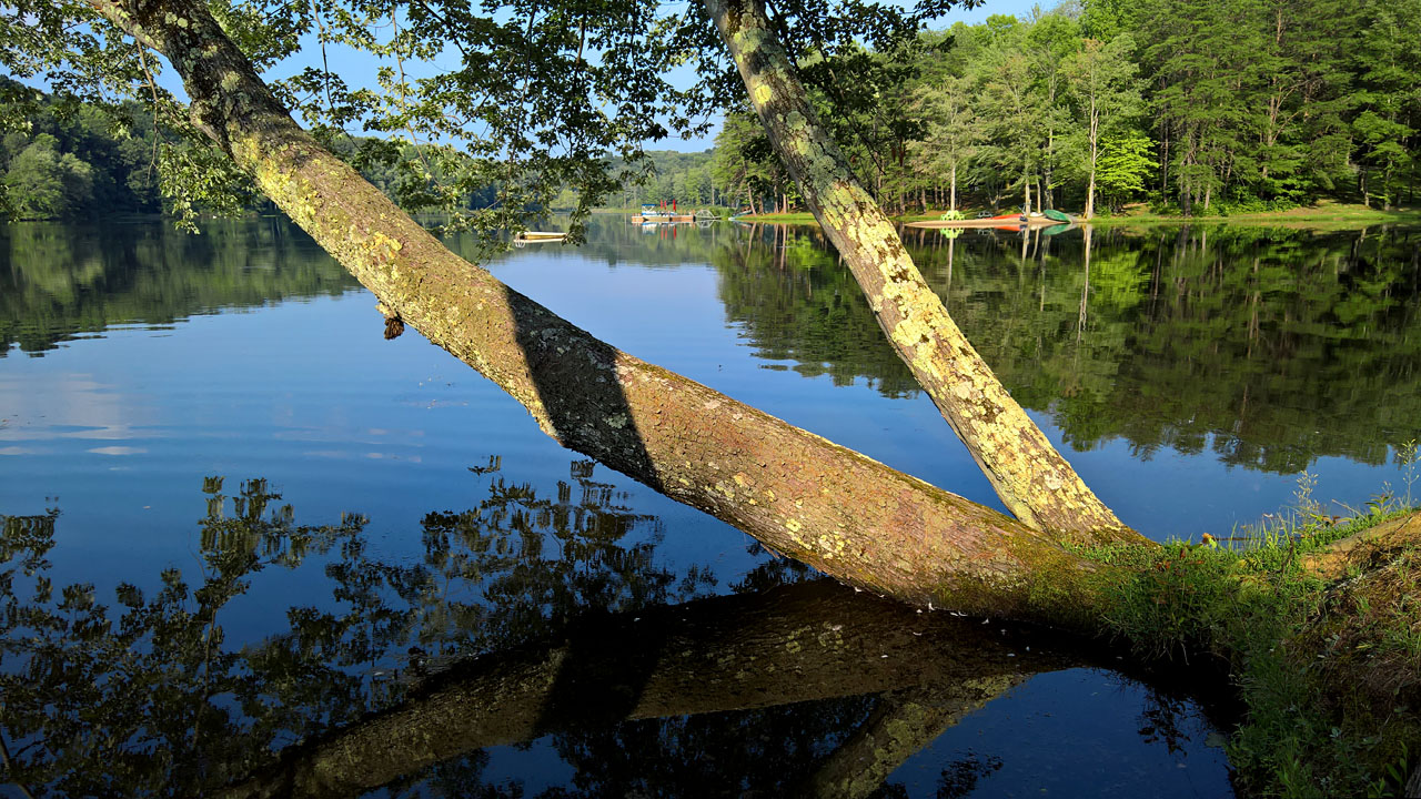 WP 20160804 18 31 52 Pro