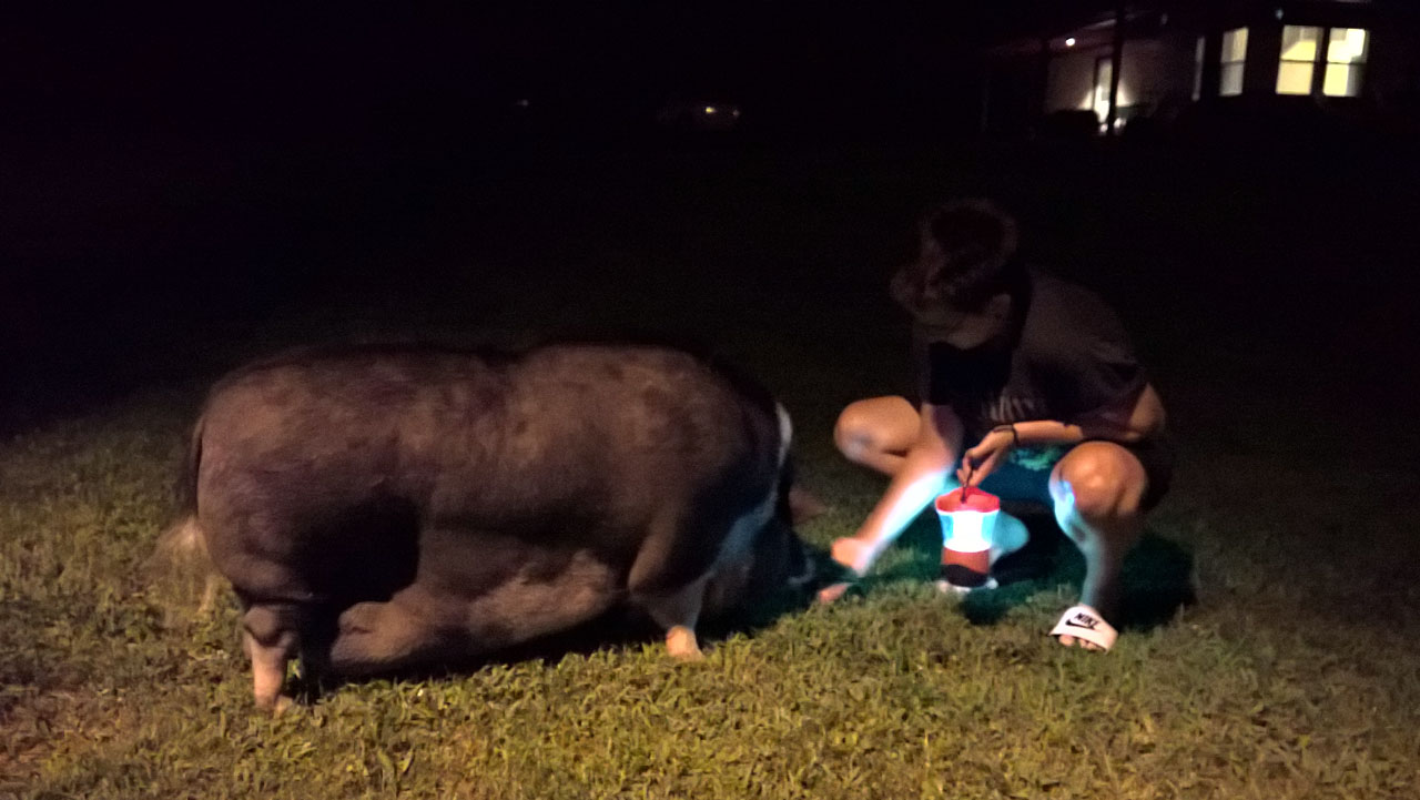 WP 20160804 22 00 54 Pro