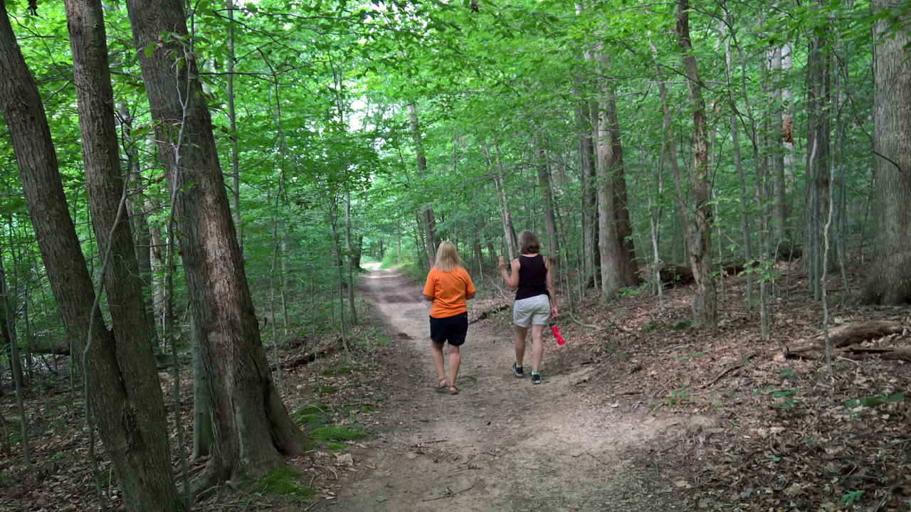 WP 20160805 11 21 05 Pro