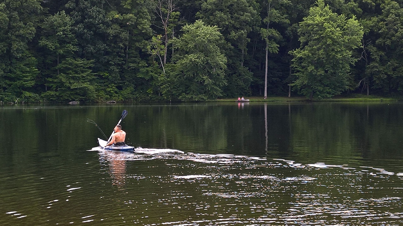 WP 20160805 17 36 07 Pro