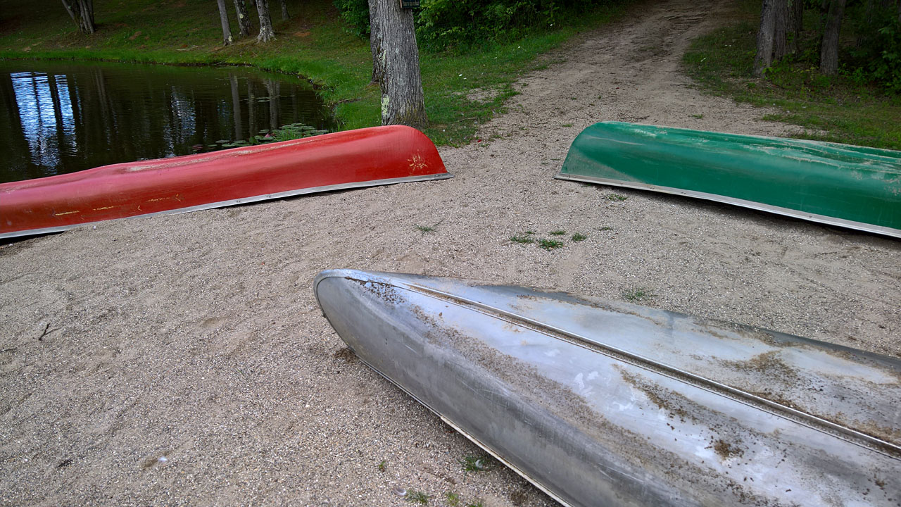 WP 20160805 17 36 29 Pro