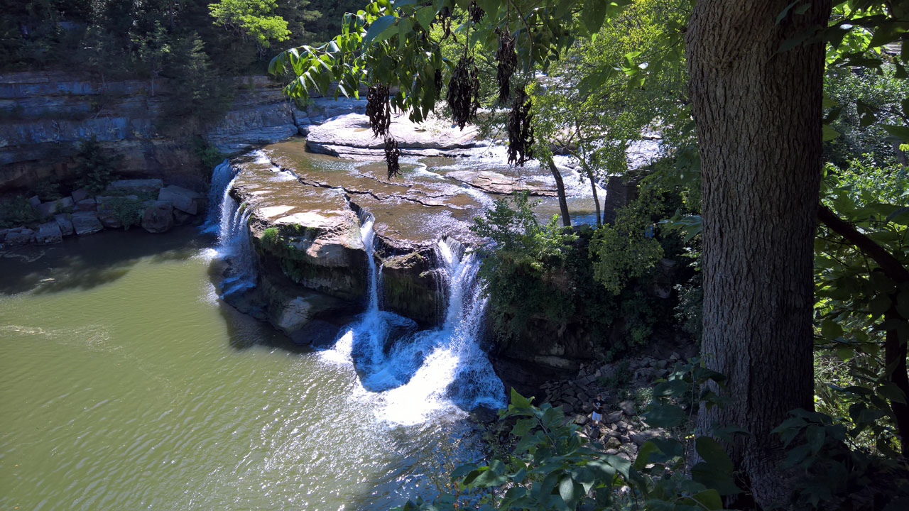 WP 20160807 11 50 35 Pro