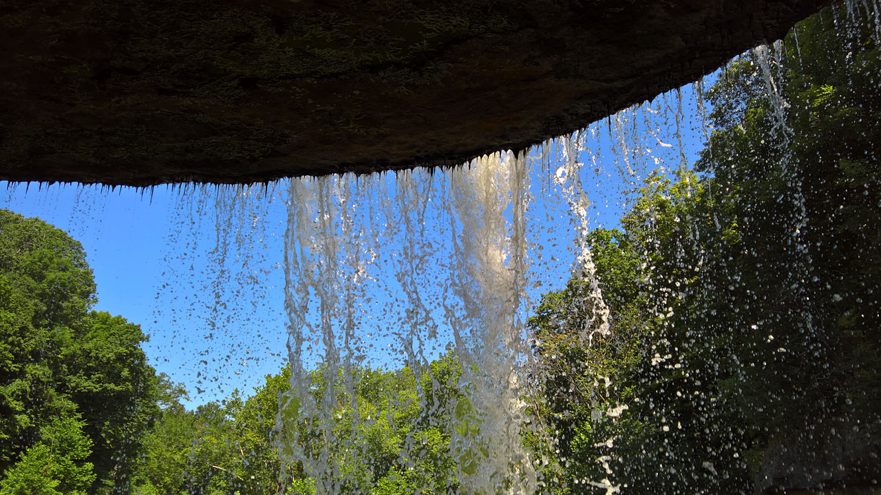 WP 20160807 12 22 08 Rich