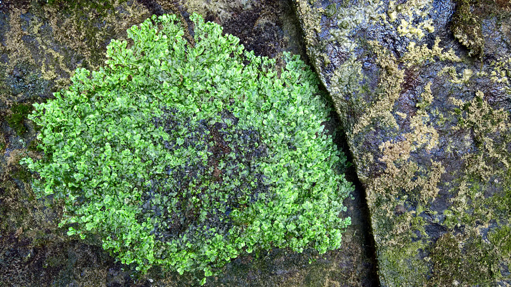 WP 20160807 12 39 20 Rich