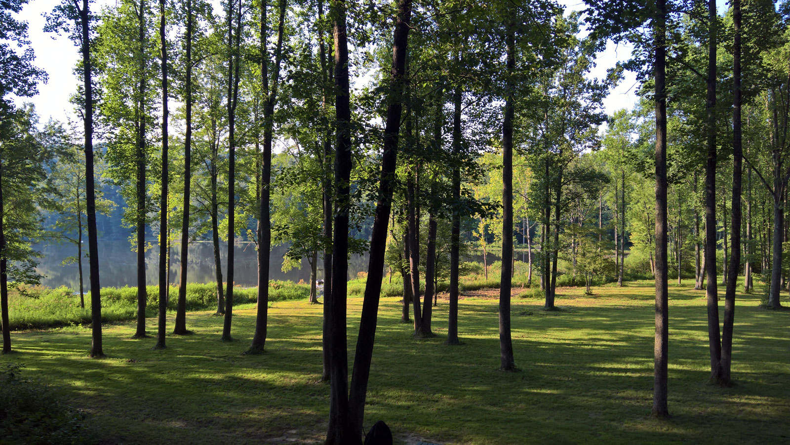 WP 20170810 18 44 15 Rich