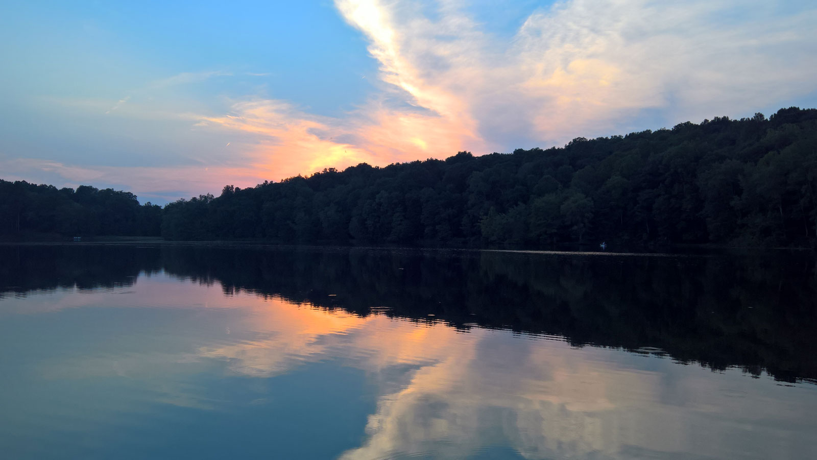 WP 20170810 20 27 20 Rich