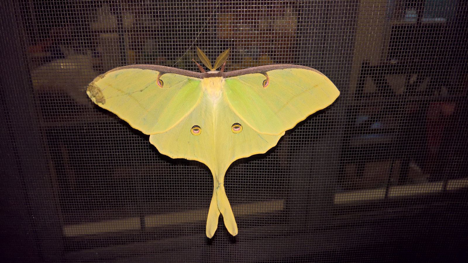 WP 20170810 22 59 10 Rich