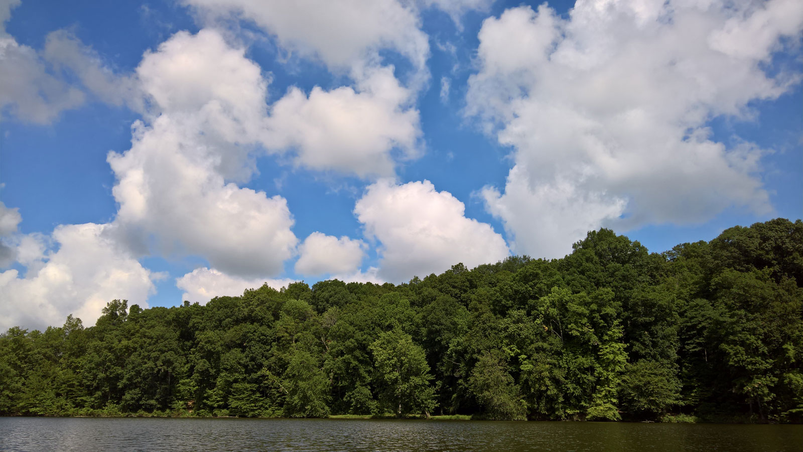 WP 20170812 11 30 55 Rich