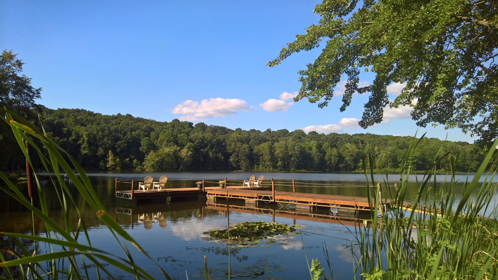 WP 20170812 17 50 04 Rich