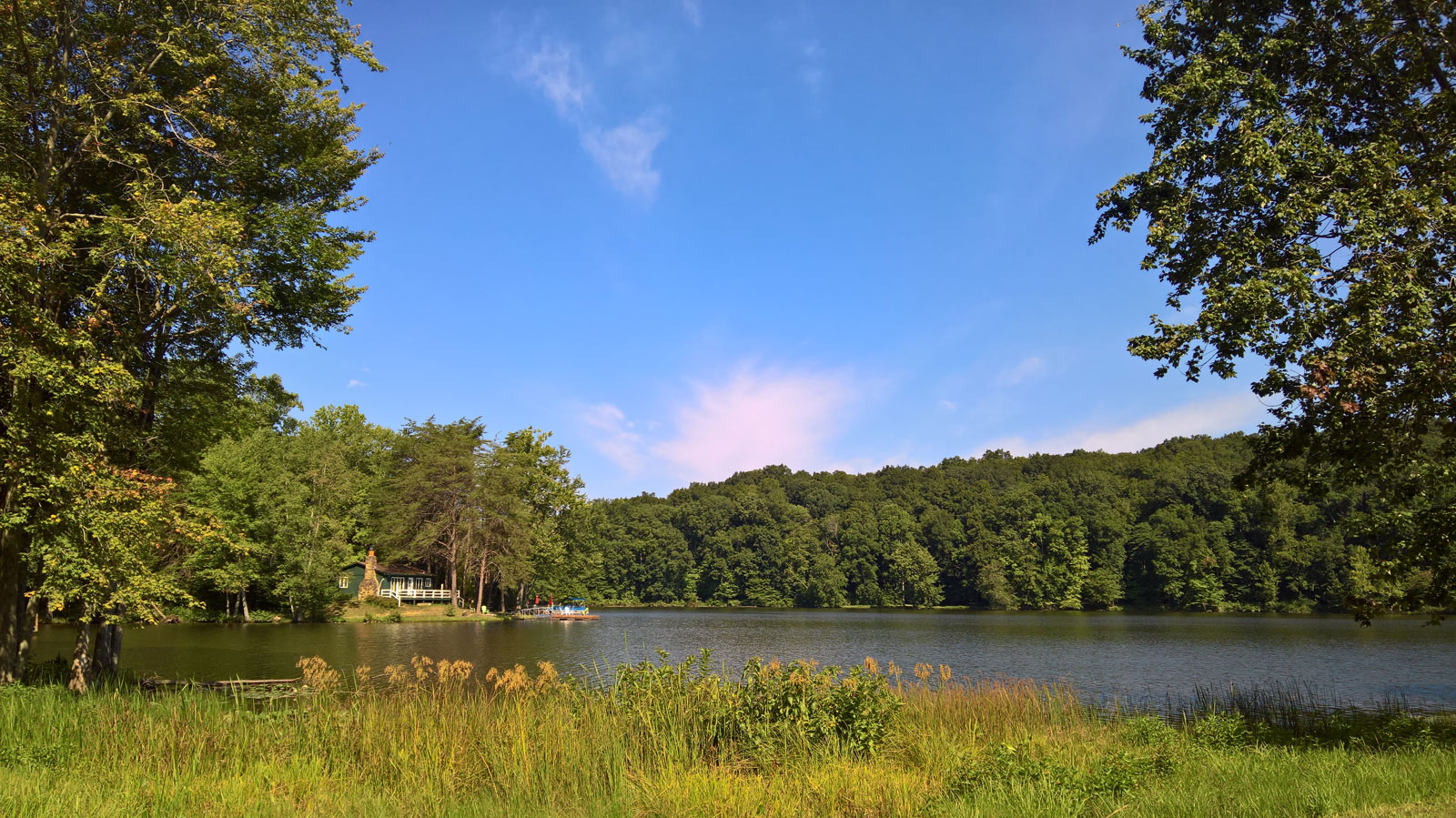 WP 20170813 10 56 27 Rich