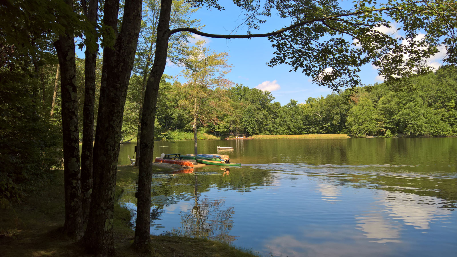 WP 20170813 11 42 11 Rich