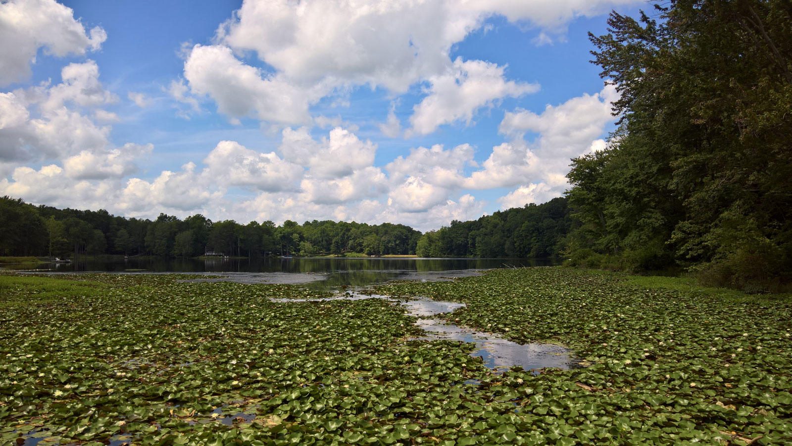 WP 20170813 12 41 57 Rich