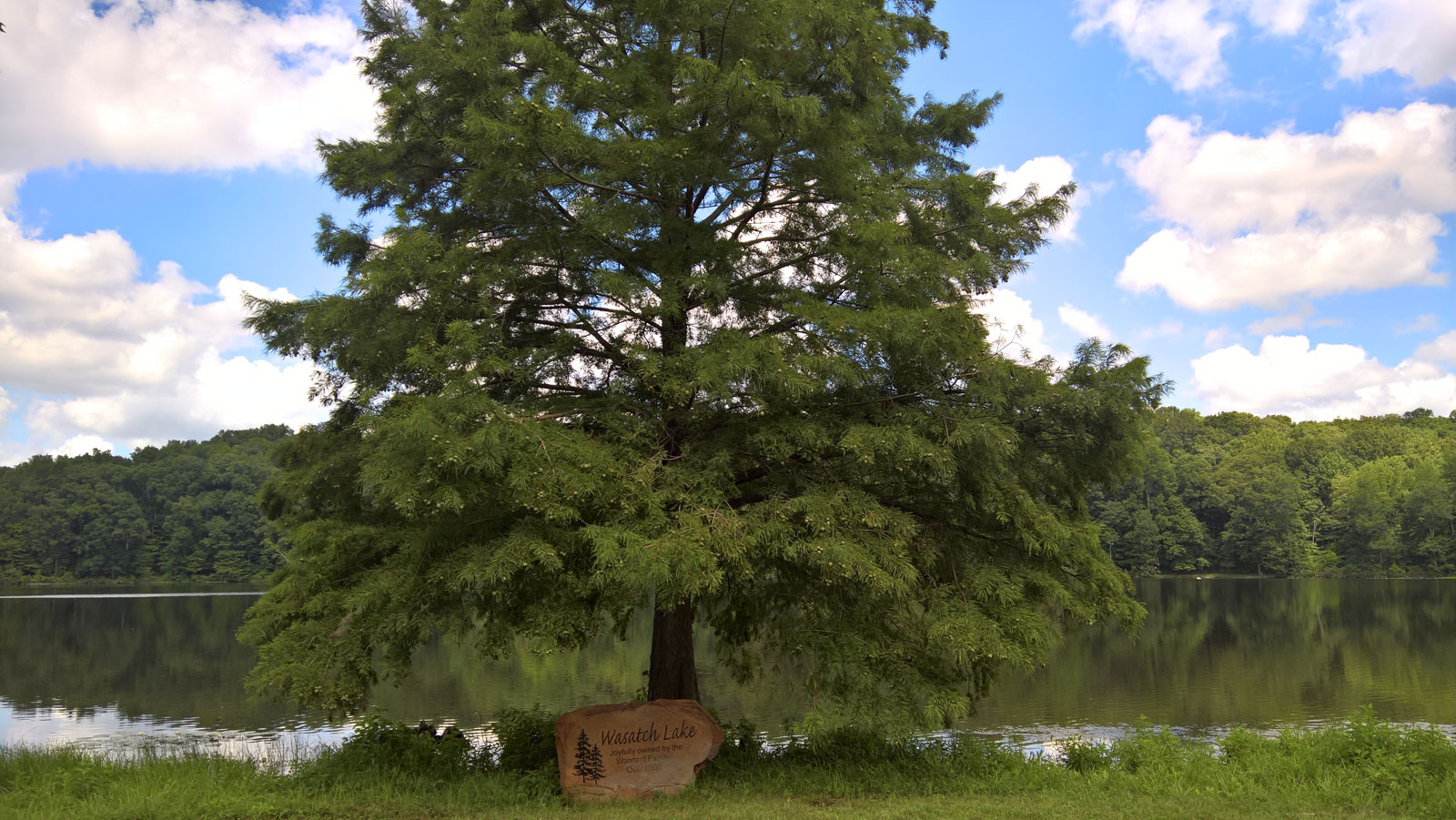 WP 20170813 12 51 49 Rich