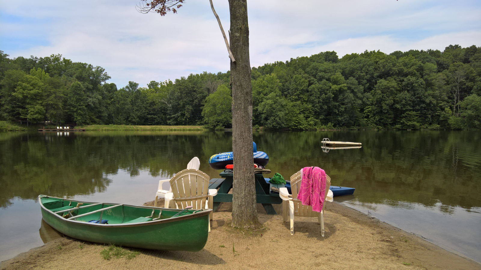 WP 20180810 12 38 59 Pro