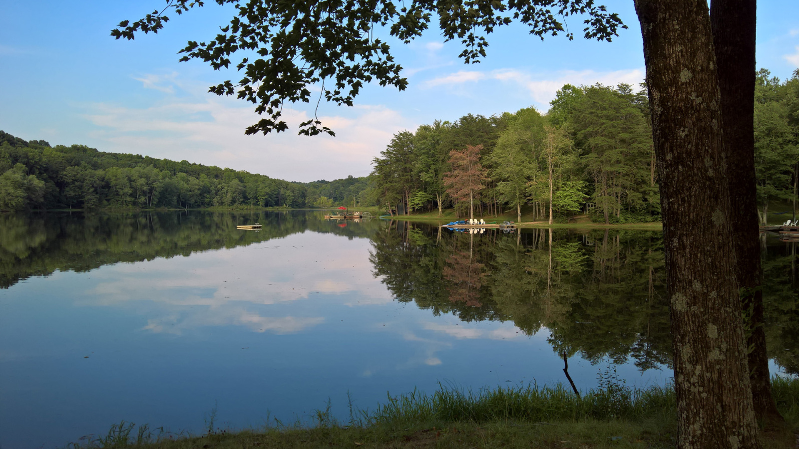 WP 20180810 17 51 42 Rich