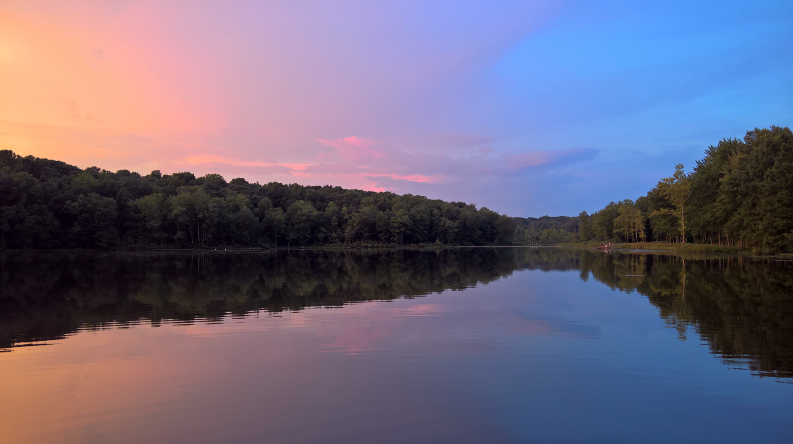 WP 20180810 20 51 54 Rich