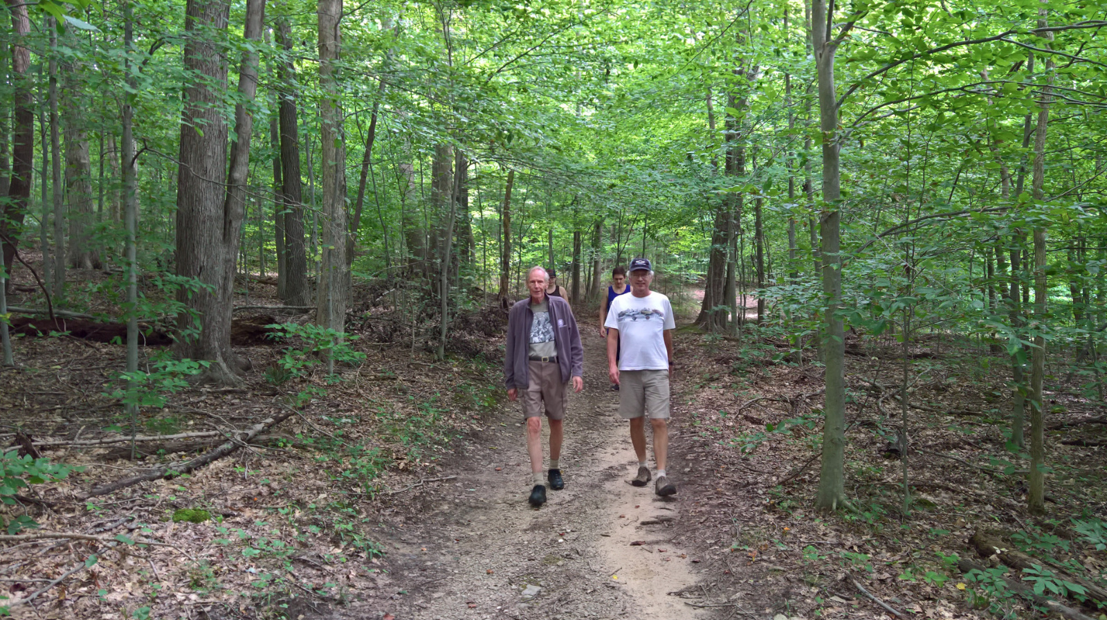 WP 20180811 12 03 28 Rich