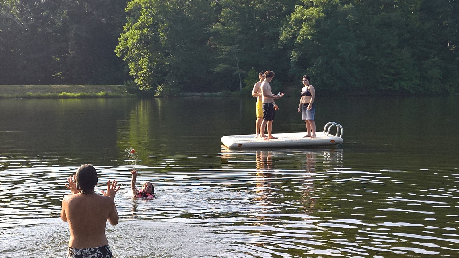 WP 20180811 18 29 55 Pro