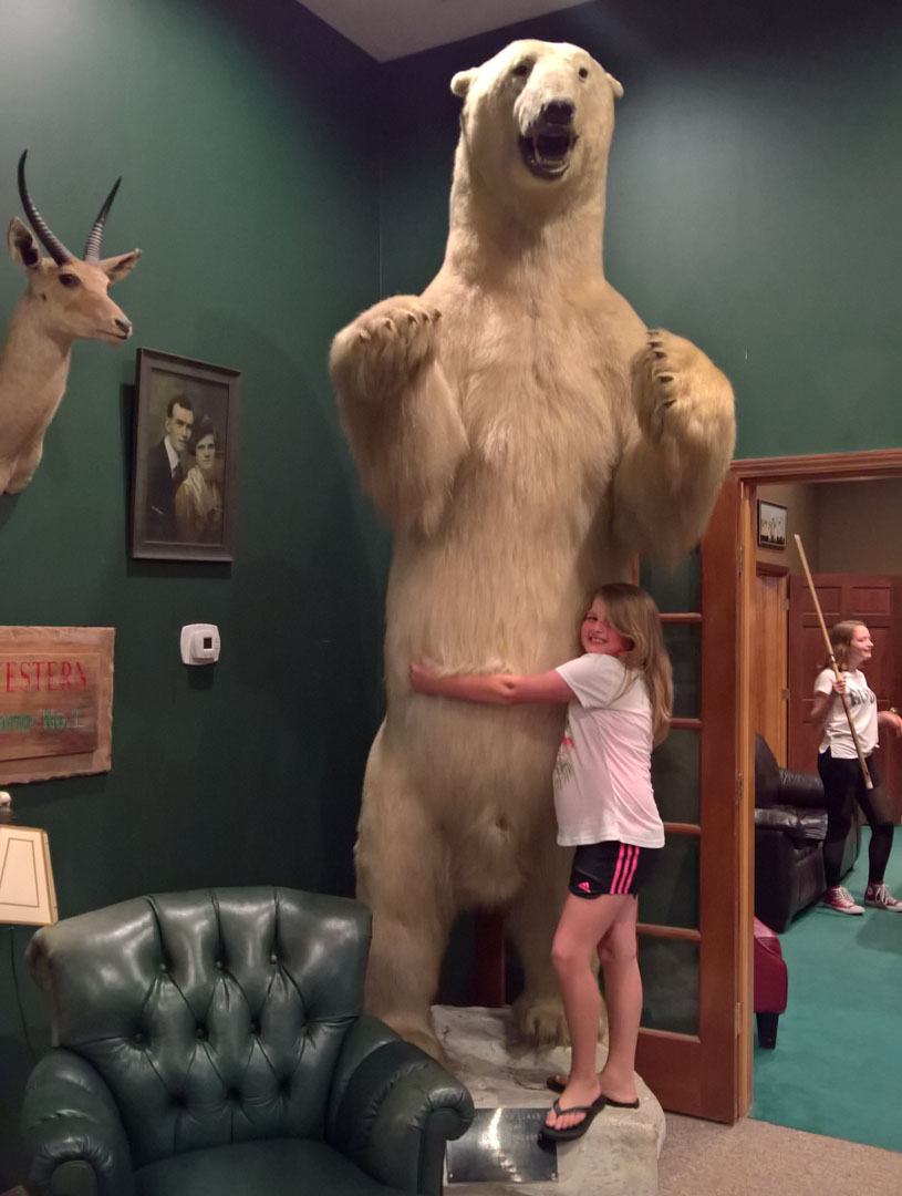 WP 20180811 20 58 04 Pro