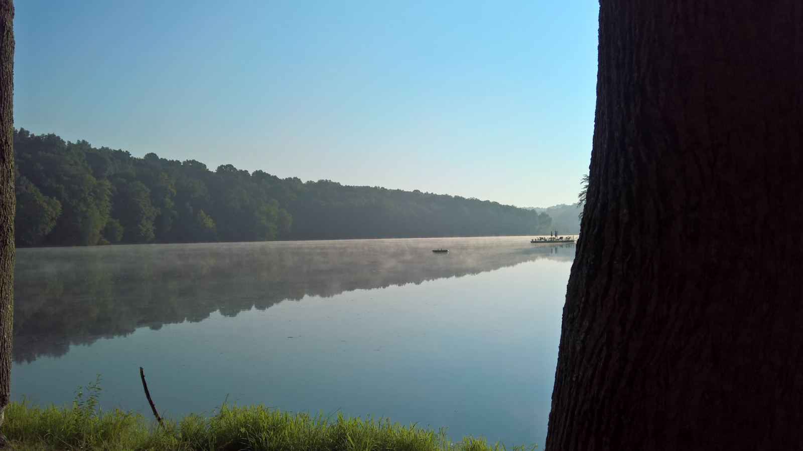 WP 20180812 08 23 50 Pro