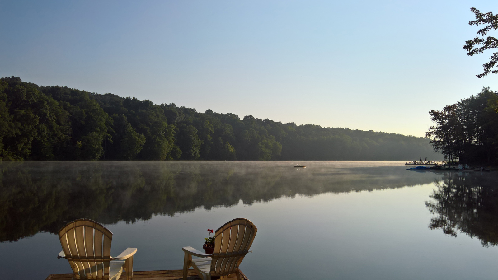 WP 20180812 08 24 43 Pro