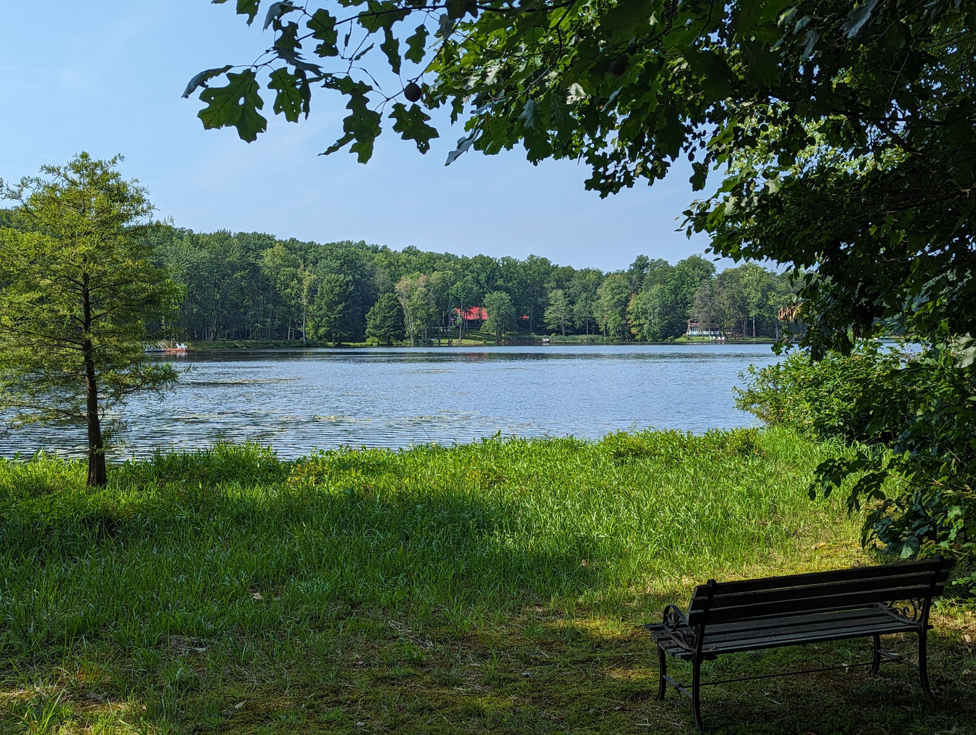 PXL 20230819 152254384.PORTRAIT.ORIGINAL