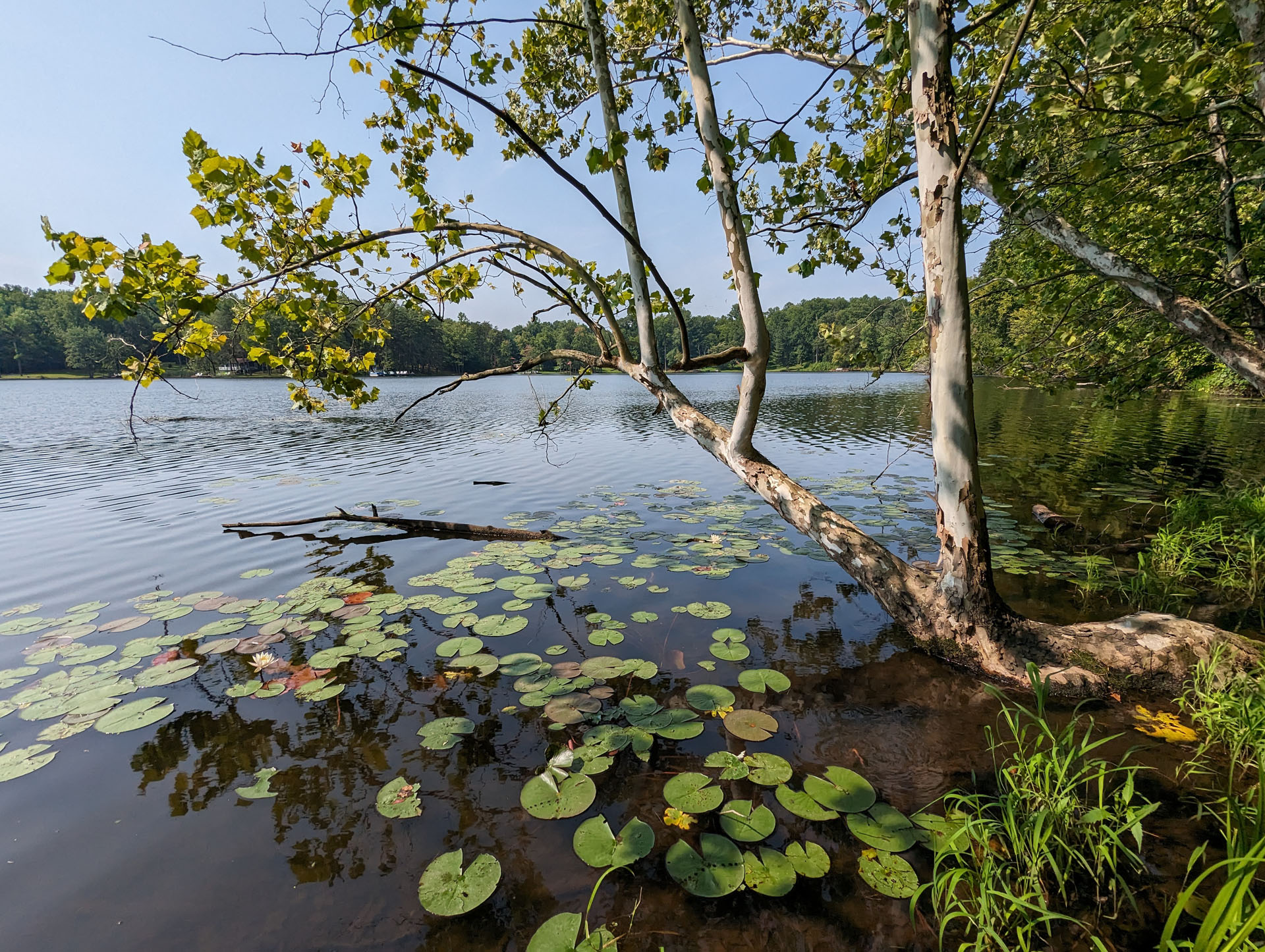 PXL 20230819 152920056