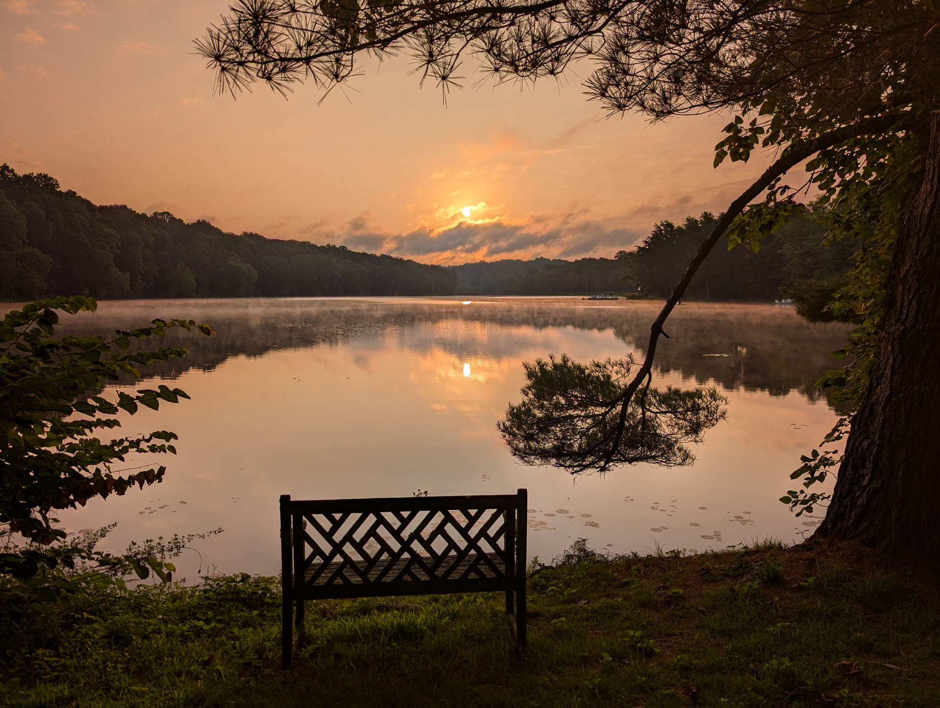 PXL 20240809 113521875