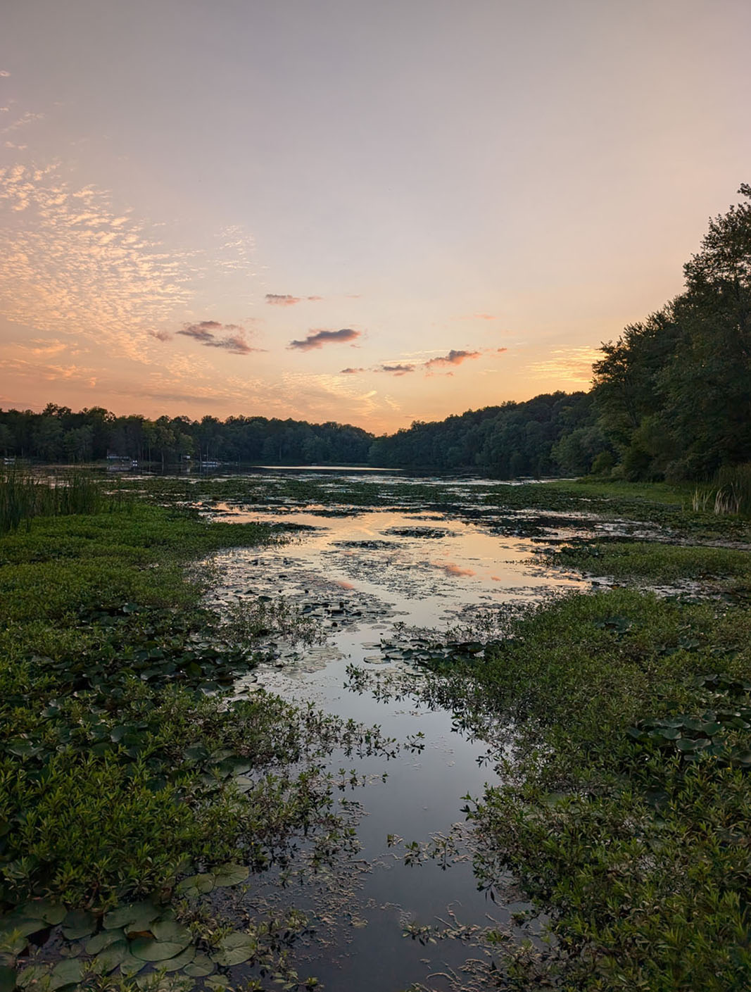 PXL 20240811 003223558