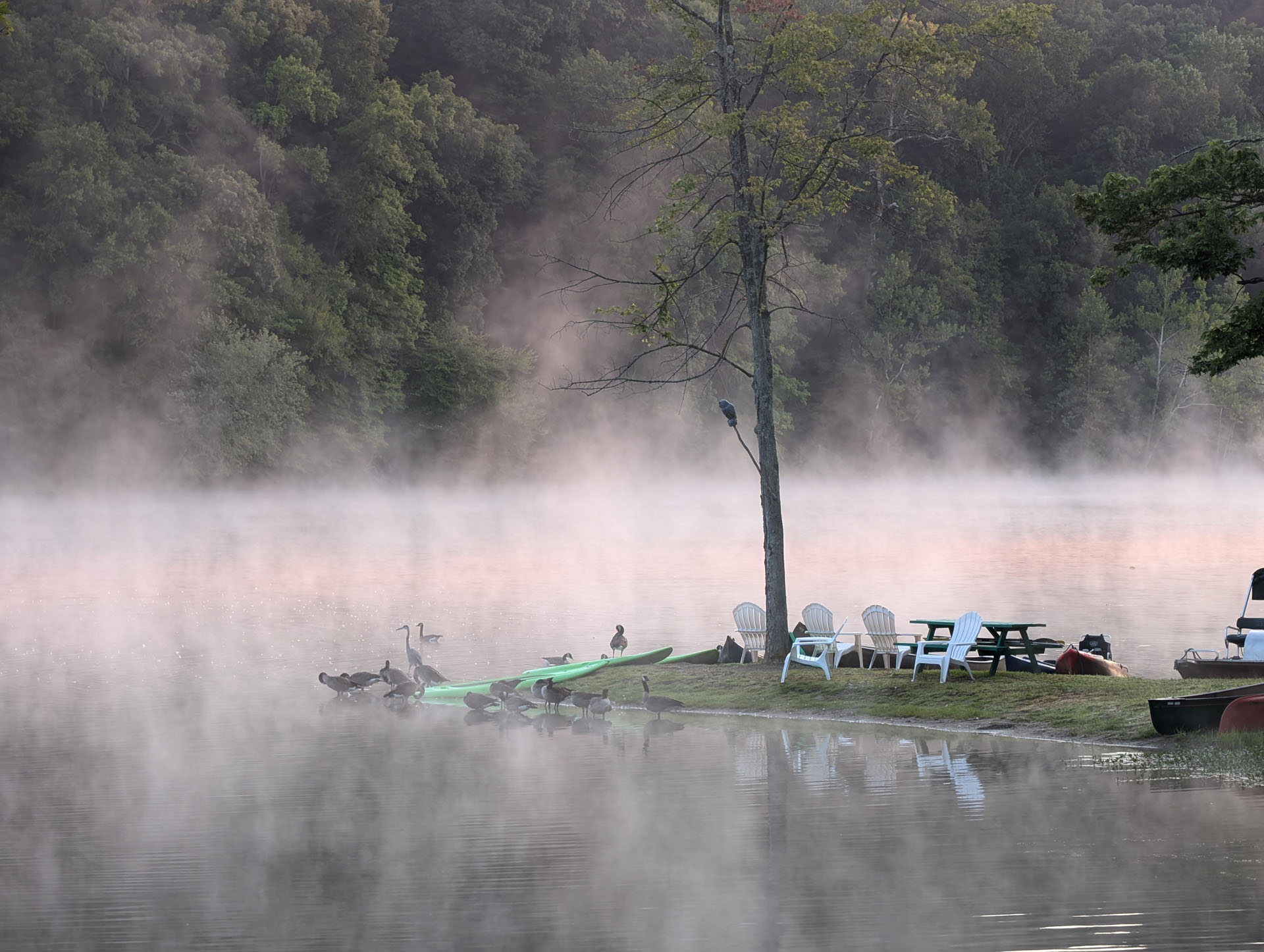 PXL 20240811 111627468