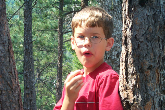 Greenmountain ezra 062102