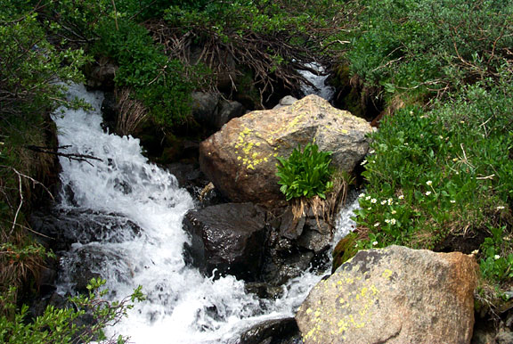 Lakeisabelle creek 062502