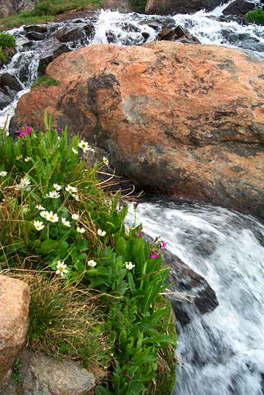 Lakeisabelle creek2 062502