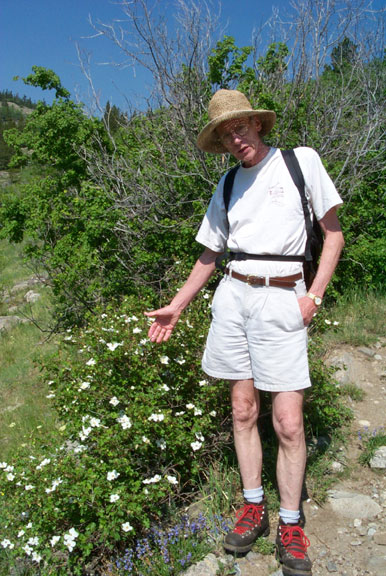 Lostlaketrail miltonflowers 062202