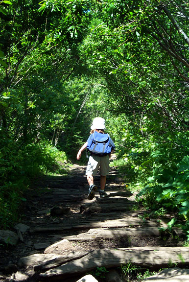 Lostlaketrail theahiker 062202