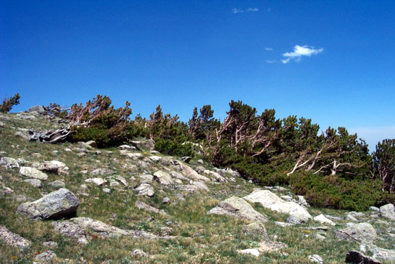 Rainbowlaketrail3 062402