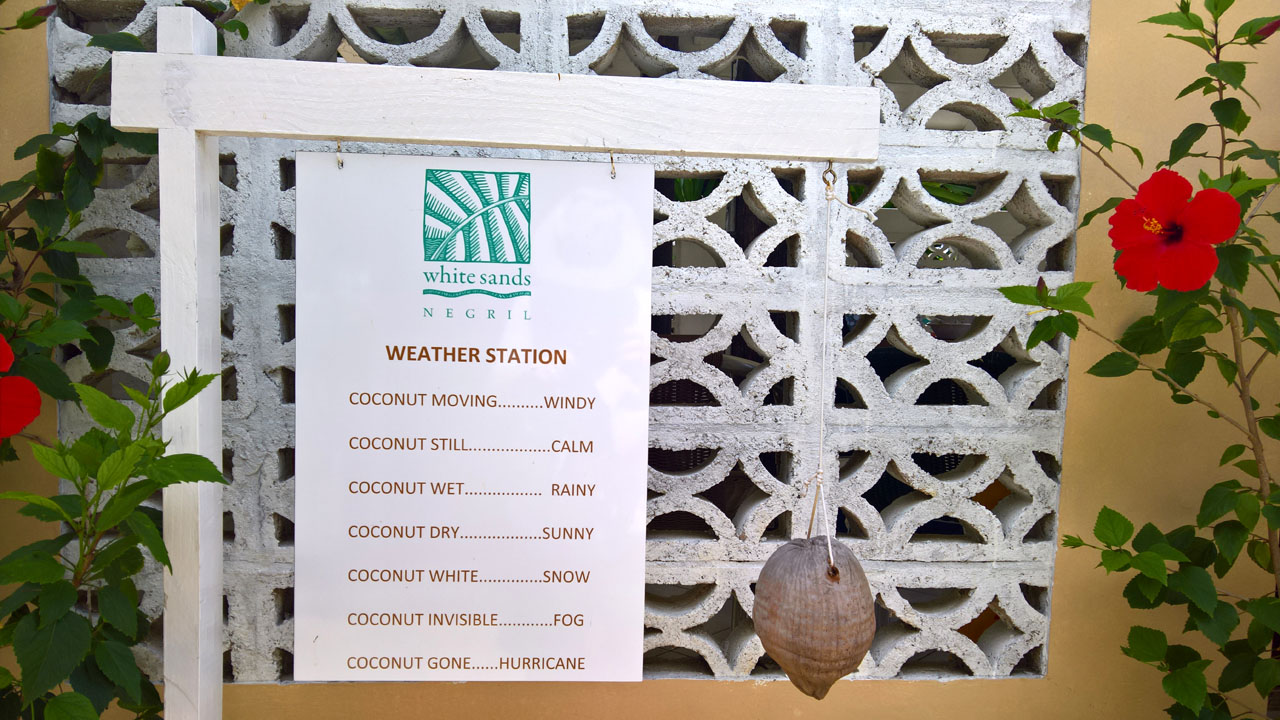 Weather White Sandso