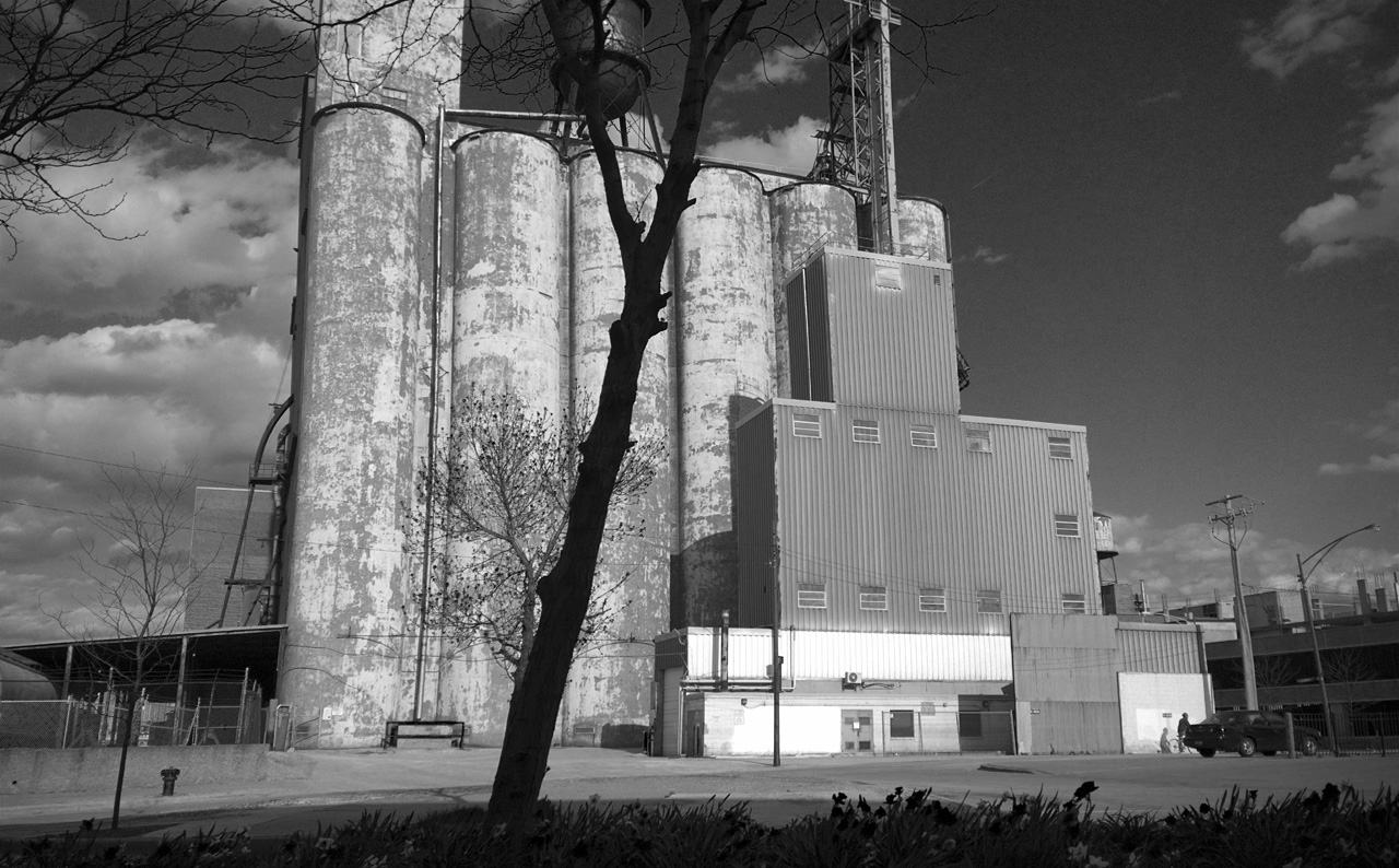 Grain in the City