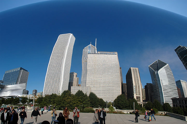 The bean