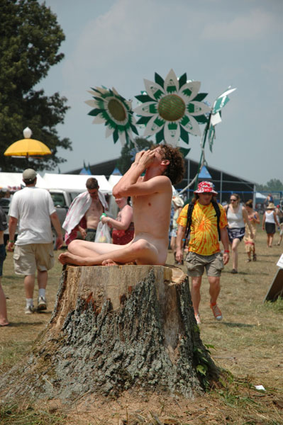 Bonnaroo 2004