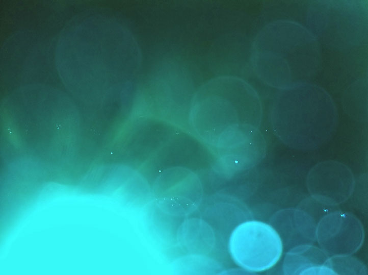 iPad Deployment 2010