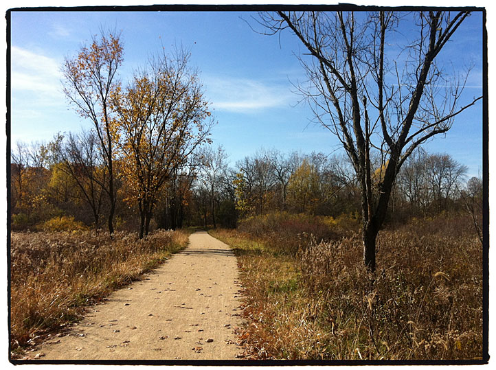 Des-Plaines-River-Trail-Meadow.JPG