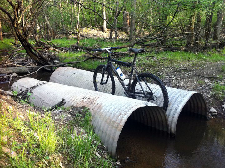 Des-Plaines-River-Trail-fall-stuck.jpg