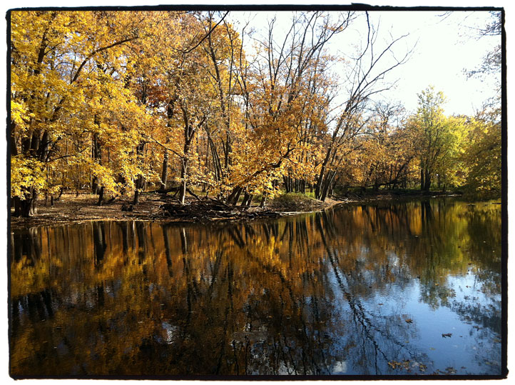 Des-Plaines-River-Trail-river-view.jpg