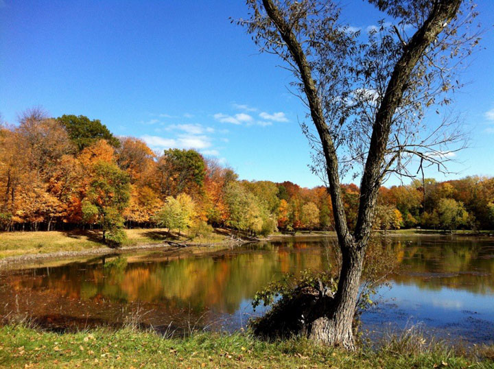 Des Plaines River Trail