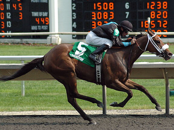 Arlington Raceway 2005