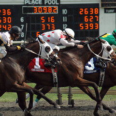 Arlington Raceway 2005