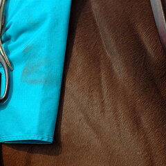 Arlington Raceway 2005