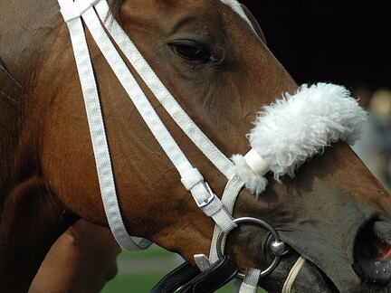 Arlington Raceway 2005